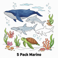 5 Pack Marino - A color