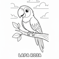 Lapa Roja