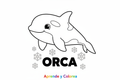 Orca para colorear - Aprende y Colorea