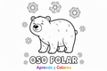 Oso Polar para colorear - Aprende y Colorea multicolor