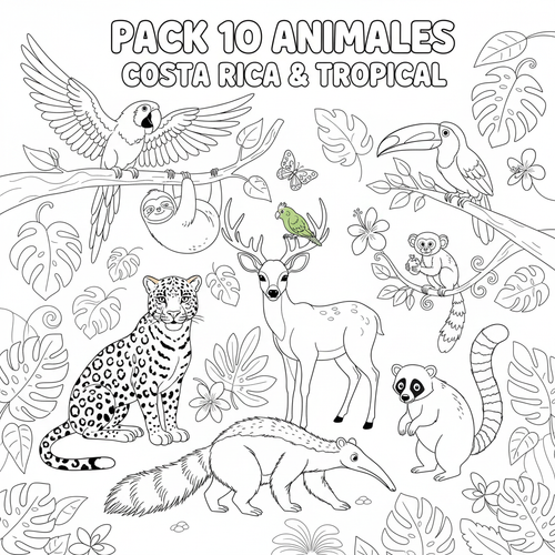 Portada Pack 10 corregida
