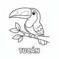 Tucán